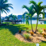 water view with palm trees